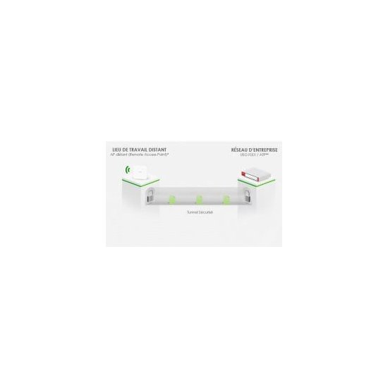 Zyxel- Licence SAPC 1 an secure tunnel + AP USGFLEX500H