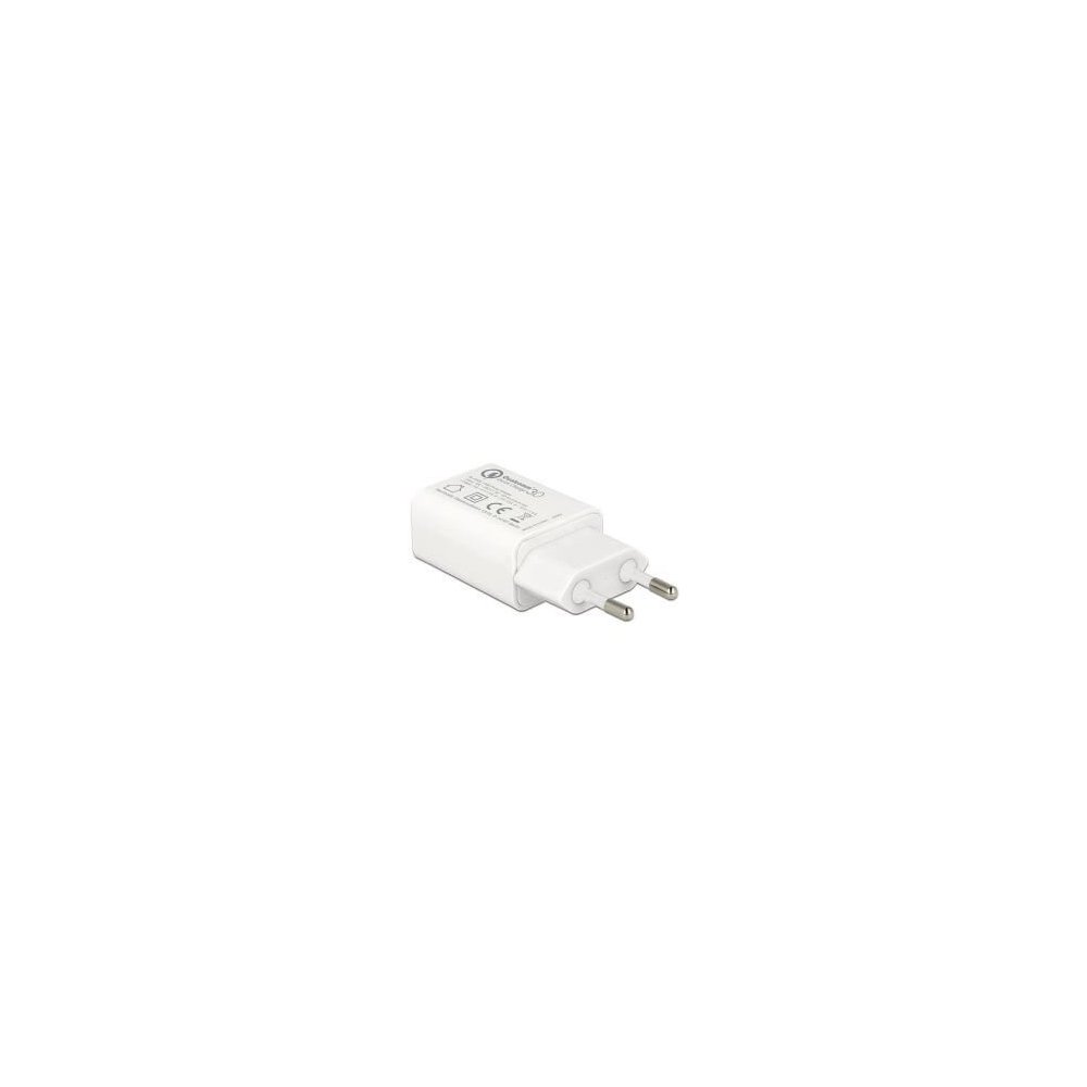 Delock- Chargeur USB 1 sorties 3,6 à 12V QC 3.0 blanc