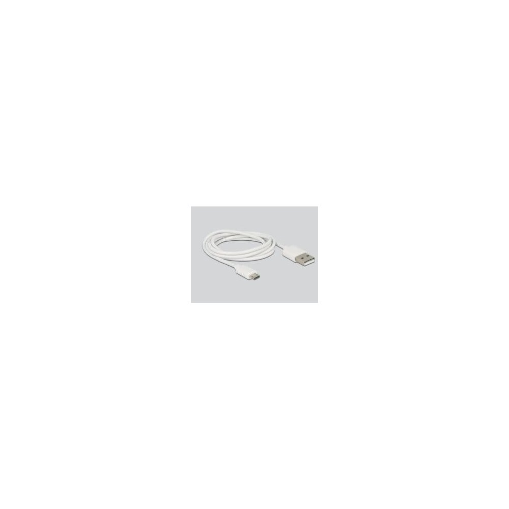 Delock- Chargeur USB 1 sorties 3,6 à 12V QC 3.0 blanc
