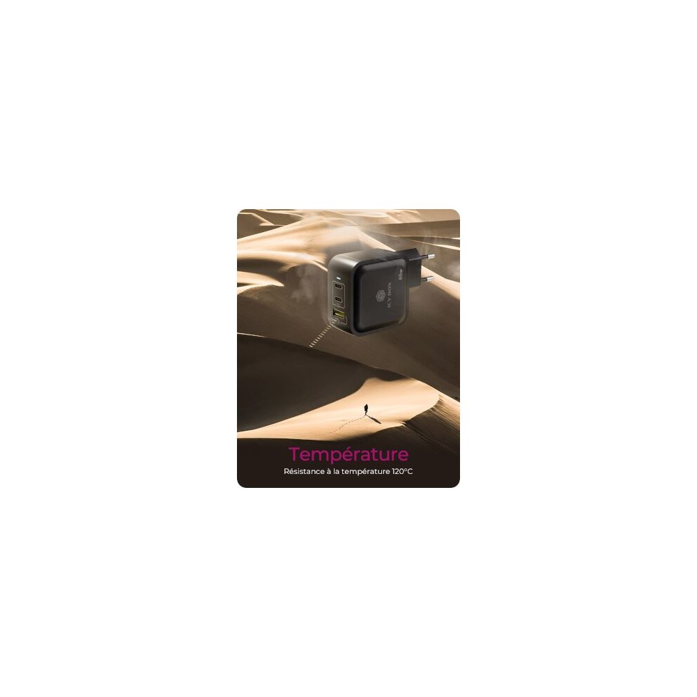 Icy Box- Alimentation USB GaN 2x USB-C 1x USB-A 65W