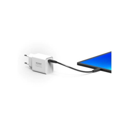 Port Designs- Alim USB Type-C PD 36W GaN2 wall plug