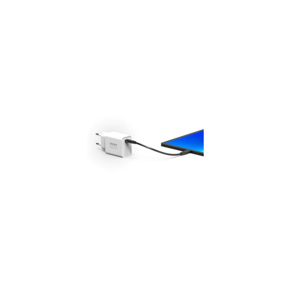 Port Designs- Alim USB Type-C PD 36W GaN2 wall plug