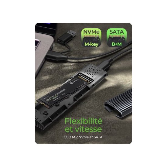 Icy Box- Boîtier externe M.2 NVMe & SSD USB 3.1 Type C & A