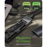 Icy Box- Boîtier externe M.2 NVMe & SSD USB 3.1 Type C & A