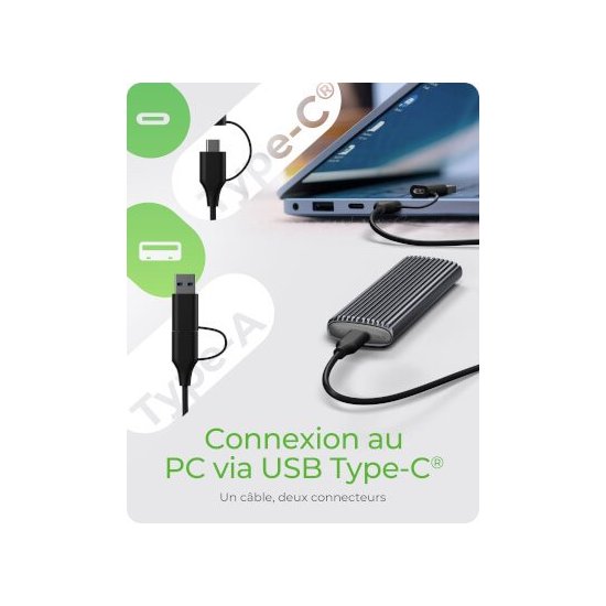 Icy Box- Boîtier externe M.2 NVMe & SSD USB 3.1 Type C & A