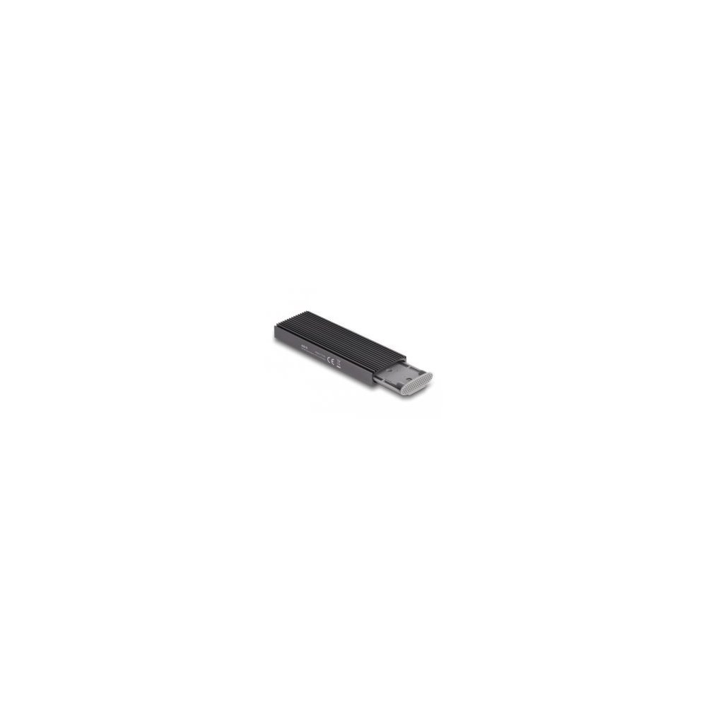 Delock- Boîter externe USB C M.2 SATA SSD ou PCIe