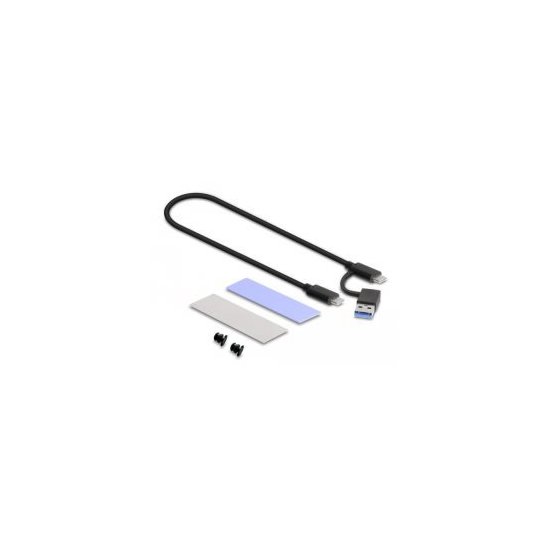 Delock- Boîter externe USB C M.2 SATA SSD ou PCIe