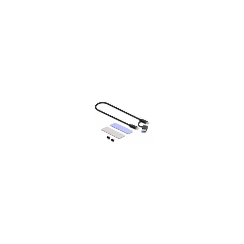 Delock- Boîter externe USB C M.2 SATA SSD ou PCIe