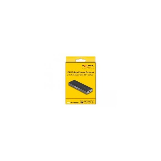 Delock- Boîter externe USB C M.2 SATA SSD ou PCIe