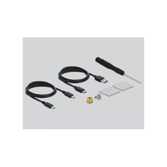 Delock- Boîter externe USB C M.2 SSD 2230/42/60/80