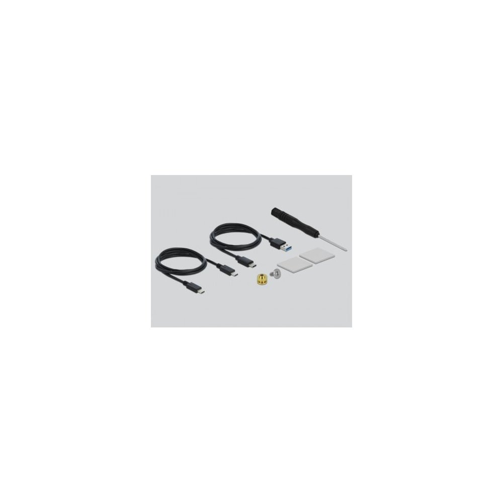 Delock- Boîter externe USB C M.2 SSD 2230/42/60/80