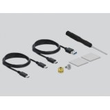 Delock- Boîter externe USB C M.2 SSD 2230/42/60/80