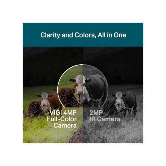 Tp-link Caméra motorisée PT 360° 4G Couleur extérieure