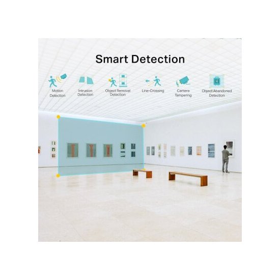 Tp-link Dôme 4Mp 89° IR30m H265+ IK10 IP67 IA