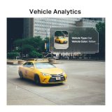 Tp-link Dôme 5Mp Coul24 90° IR 30m Micro H265+ IK10 IP67